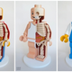 Illustration for article titled These sculptures reveal the muscles, bones, and organs inside toys
